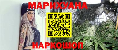 индика Усть-Джегута