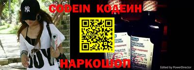 индика Усть-Джегута