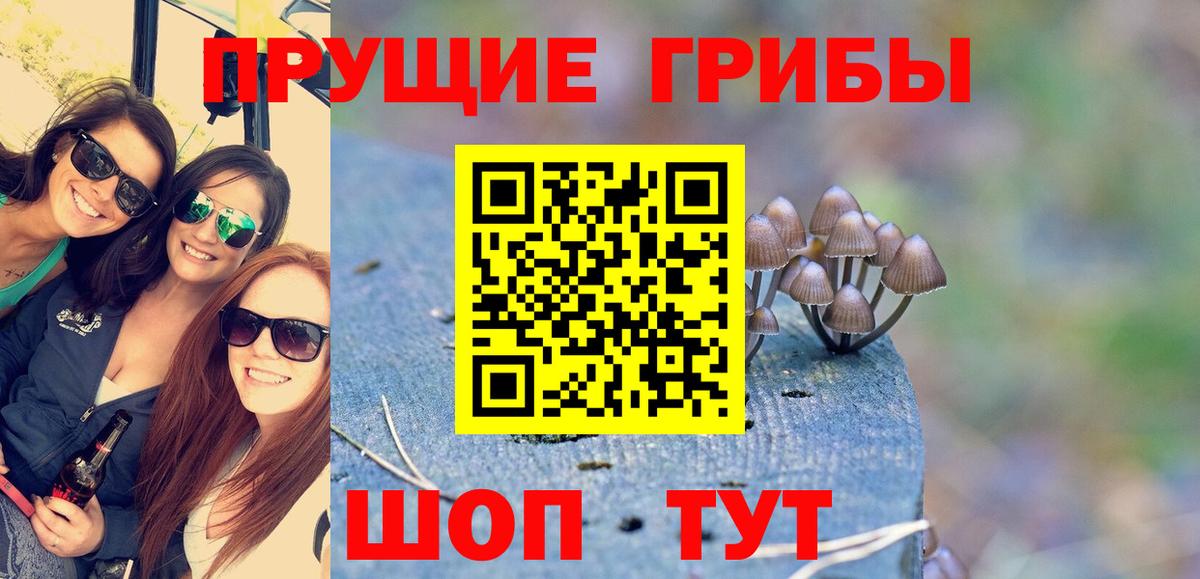 Псилоцибиновые грибы GOLDEN TEACHER  Вход с VPN  Сатка  Галлюциногенные грибы Magic Shrooms 