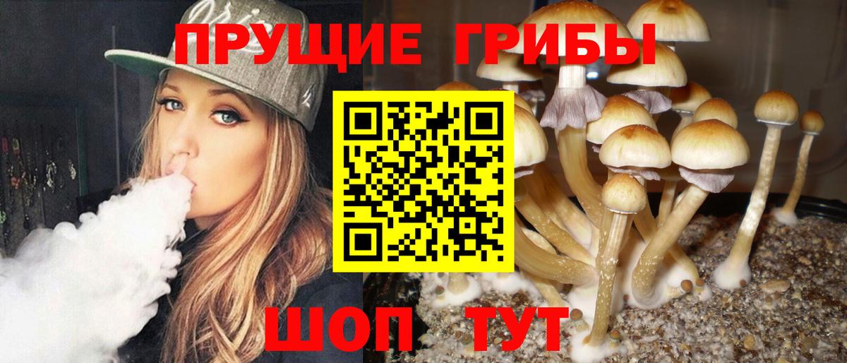 Галлюциногенные грибы GOLDEN TEACHER Сатка